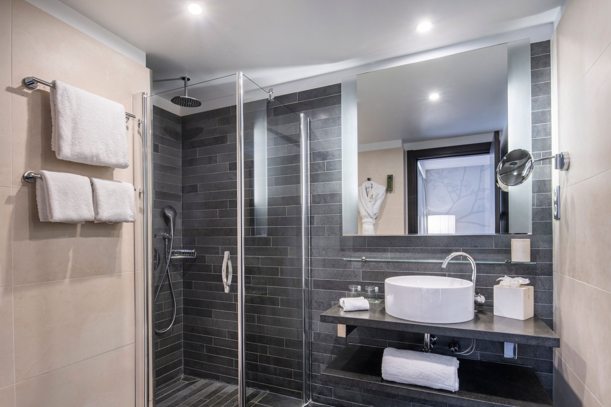 Renaissance Paris Arc de Triomphe Hotel Over view