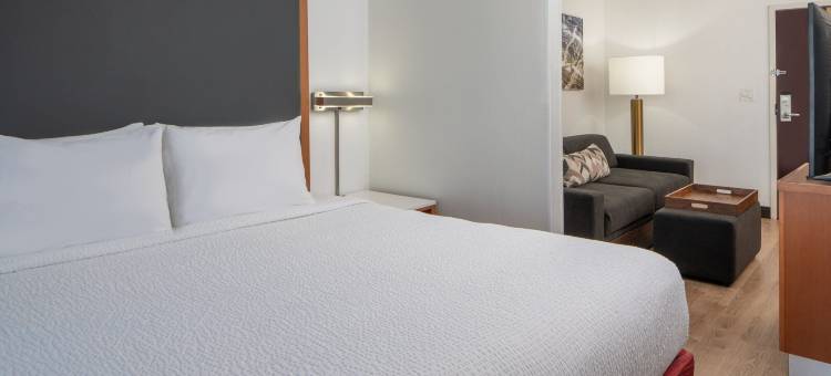 查尔斯顿市中心/河景万豪SpringHill Suites 酒店(SpringHill Suites Charleston Riverview)图片