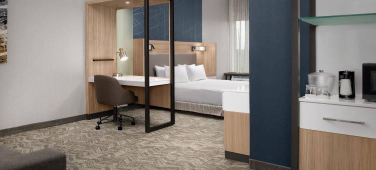 费耶特维尔 I 95万豪春丘酒店(SpringHill Suites Fayetteville I 95)图片