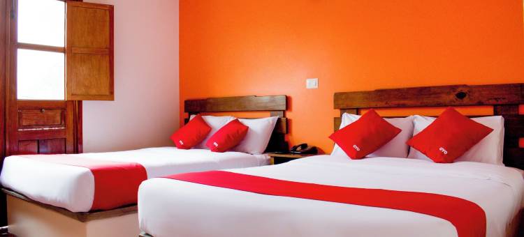 OYO 博物馆酒店(OYO Hotel Museo)图片