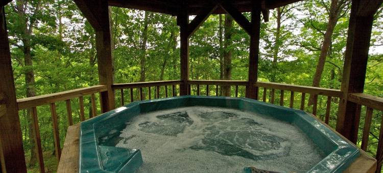 加特林堡阿拉斯加探险小屋酒店(Gatlinburg Adventure Cabins)图片