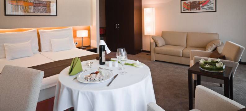 珠算商务及健康酒店(Abacus Business & Wellness Hotel)图片