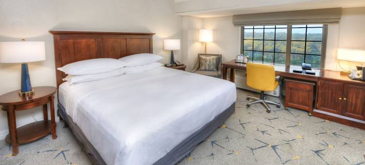 巴尔的摩华盛顿机场喜来登酒店-I(Sheraton Baltimore Washington Airport Hotel - BWI)图片