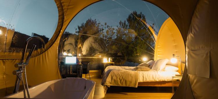 卡利格之夜(Noches de Calig)图片