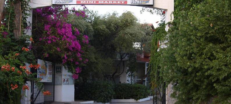 哈尼亚露营地(Camping Chania)图片