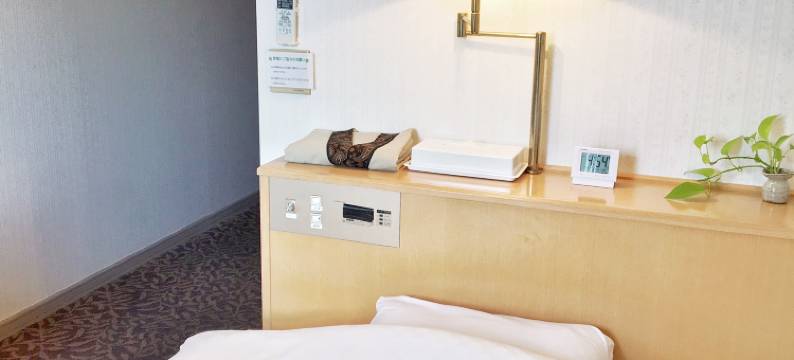 Downtown Hotel图片