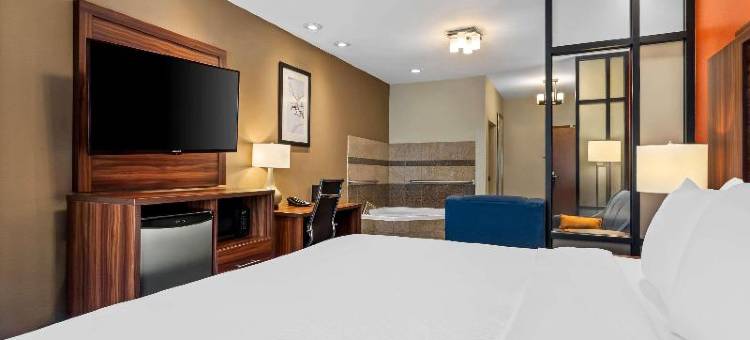 舒适套房酒店(Comfort Suites)图片