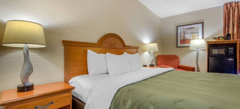 凯艺套房酒店(Quality Inn & Suites)图片