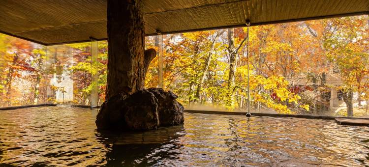 龟乃井酒店-田泽湖(KAMENOI HOTEL TAZAWAKO)图片