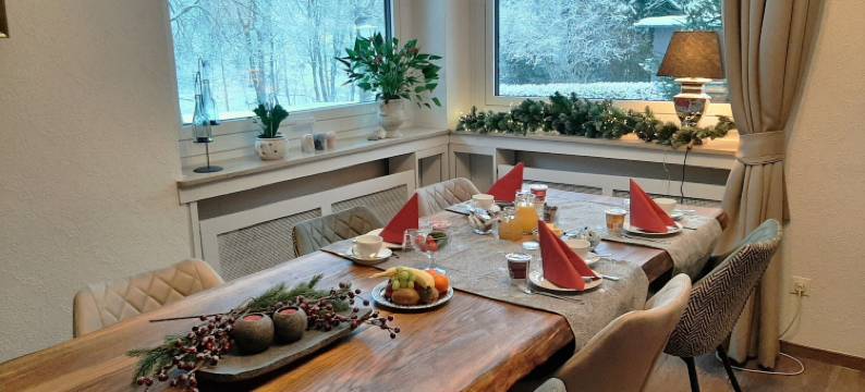 哈茨酒店艾瑞斯(Harz Hotel Iris)图片