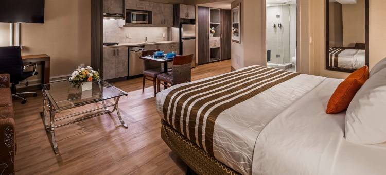 渥太华城市中心贝斯特韦斯特优质酒店(Best Western Plus Ottawa City Centre)图片