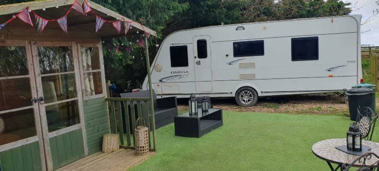 骆驼华丽露营酒店(Glamping with Llamas)图片
