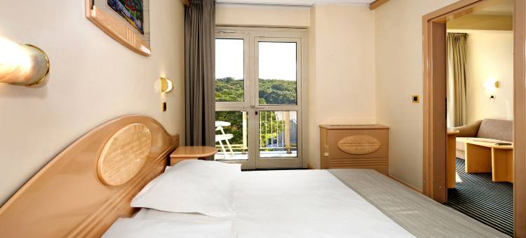 普拉瓦拉古纳伊斯特拉酒店(Hotel Istra Plava Laguna)图片