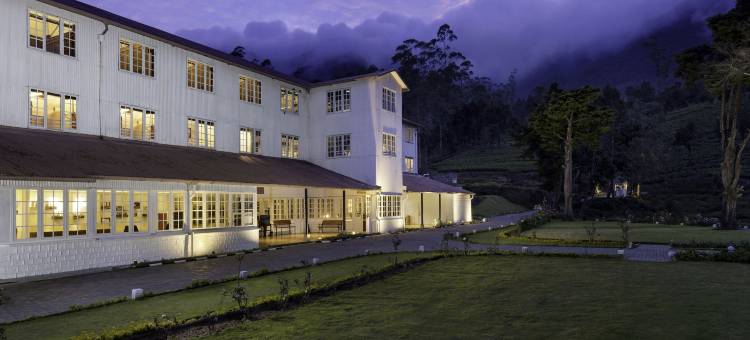 茶叶体验工厂酒店(Tea and Experience Factory - Thema Collection)图片