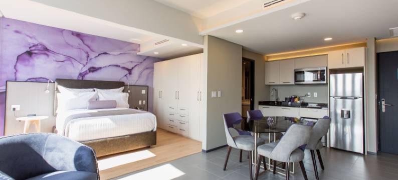 墨西哥城康德萨南 HS Hotsson(HS Hotsson Cdmx Condesa Sur)图片