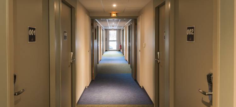 萨朗什勃朗峰地区宜必思快捷酒店(Ibis Budget Sallanches Pays du Mont-Blanc)图片