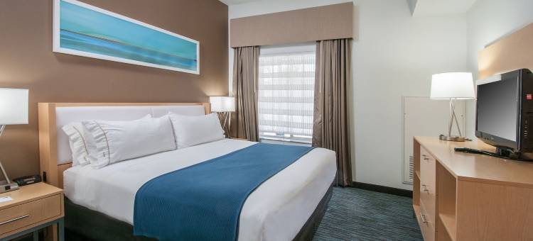 圣安东尼奥河心区智选假日套房酒店(Holiday Inn Express & Suites San Antonio Rivercenter Area)图片