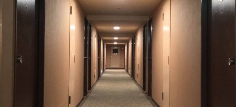 东京钻石酒店(Diamond Hotel Tokyo)图片