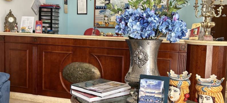 德安杰洛皇宫酒店(D'Angelo Palace Hotel)图片