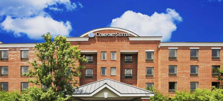 摄政公园舒适套房酒店(Comfort Suites Regency Park)图片