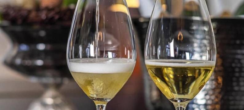 Gl.阿维纳斯辛那图尔会议中心酒店(Gl. Avernæs Sinatur Hotel & Konference)图片