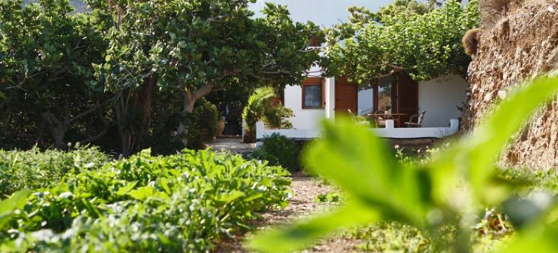 佩特里诺酒店(Petrino)图片