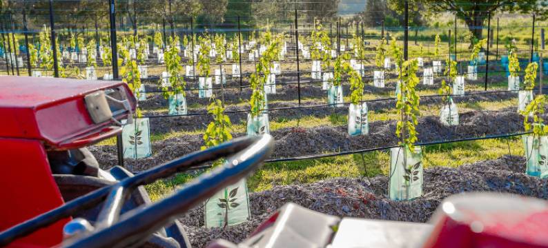 纳兰巴汽车旅馆(Narangba Motel (Formerly Brisbane North B&B and Winery))图片