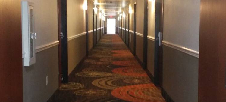 凯艺套房酒店(Quality Inn & Suites)图片