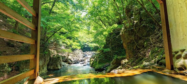 Tabist盐原温泉　柏屋旅馆(Kashiwaya Ryokan)图片