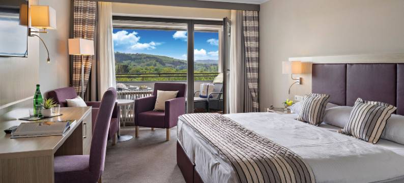 迪尔贝格会议和健康酒店(Hotel Diehlberg)图片