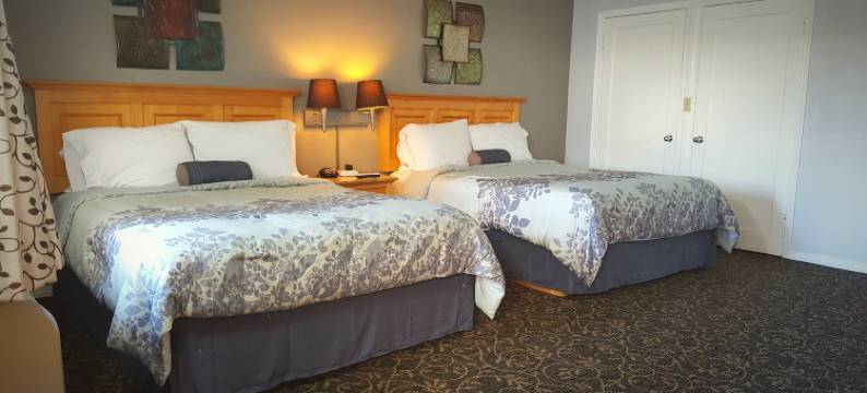 花园景观旅店(Garden View Inn)图片