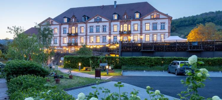 瓦勒-维涅酒店(Hôtel Val-Vignes Colmar Haut-Koenigsbourg, the Originals Relais)图片