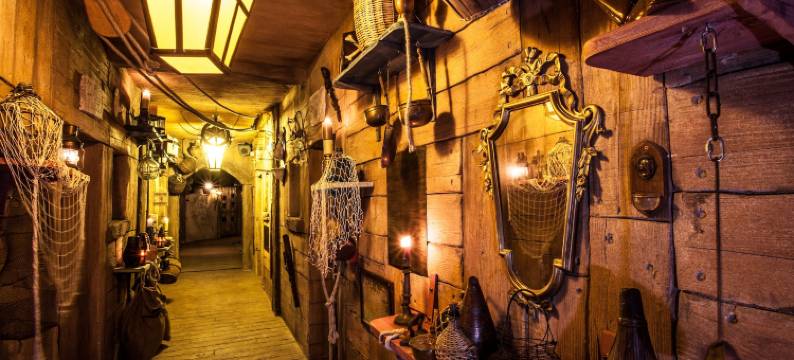 海盗世界酒店(Hôtel Pirates World)图片