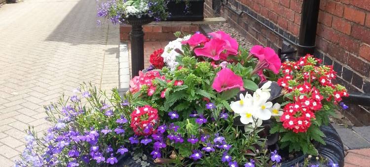 比尤德利山之屋酒店(Bewdley Hill House)图片