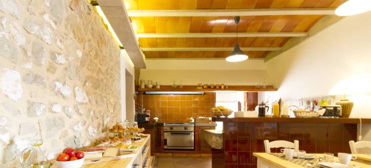 萨比斯巴尔 - 内陆观光酒店(Sa Bisbal - Turismo de Interior)图片