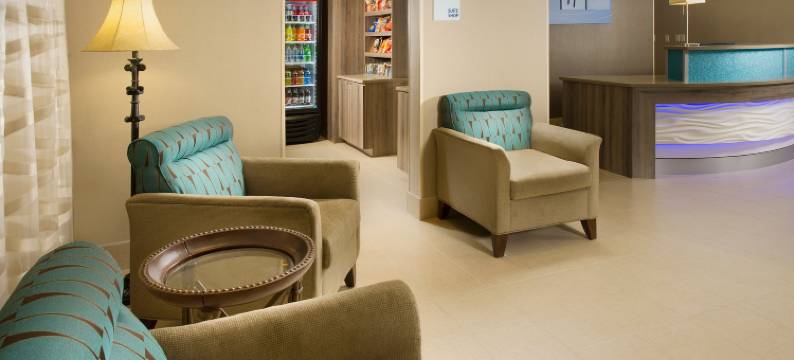 Holiday Inn Express & Suites DFW -葡萄(Holiday Inn Express & Suites DFW AIRPORT - GRAPEVINE by IHG)图片