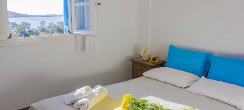 瑞姆威开放式公寓酒店(Remvi Studios)图片