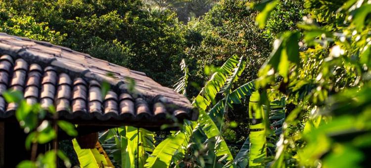 Sombra e Agua Fresca Floresta酒店(Sombra e Água Fresca Floresta)图片