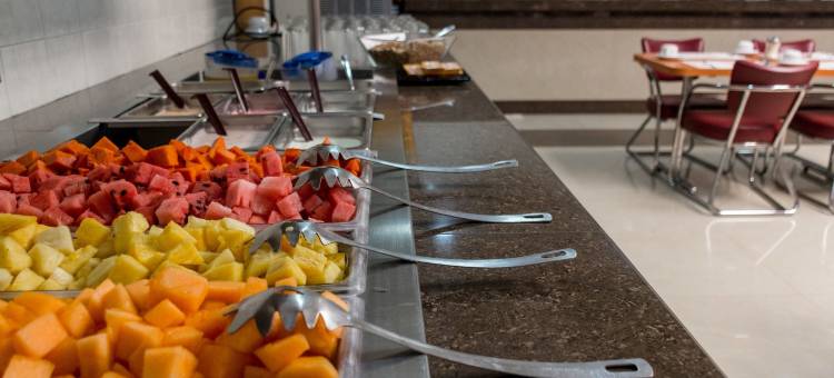 阿瓜斯卡连特斯瑞里商场酒店(Hotel Real Plaza Aguascalientes)图片