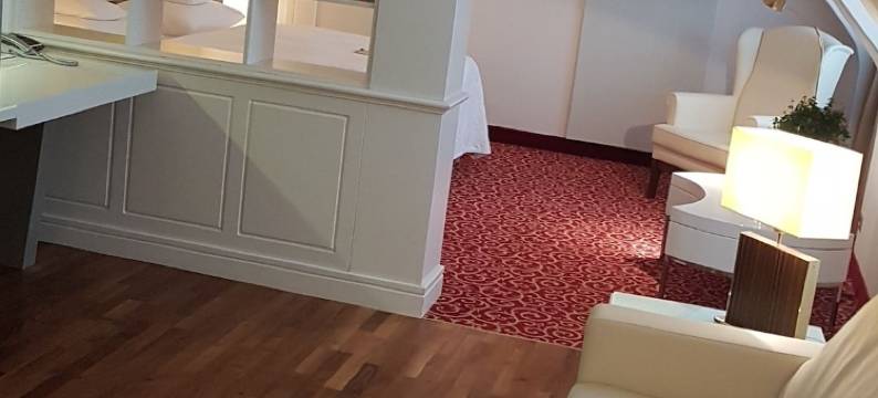 贝斯特韦斯特优质城市宫殿酒店(Best Western Plus Hotel Stadtpalais)图片