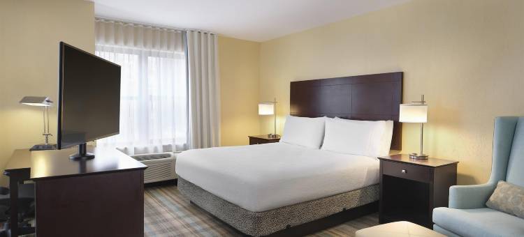 希尔顿花园奥尔巴尼医学中心酒店(Hilton Garden Inn Albany Medical Center)图片