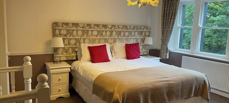 克莱普哈姆新旅馆(OYO New Inn Hotel)图片