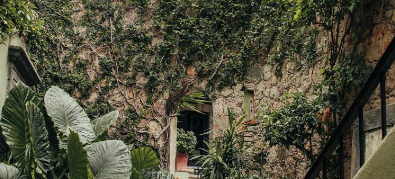 皮德拉斯内格拉斯(Piedras Negras)图片