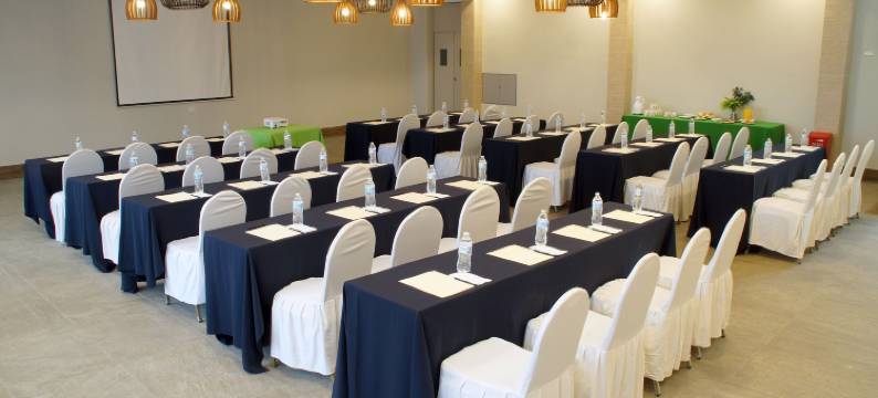 唐佩拉约太平洋海滩酒店(Don Pelayo Pacific Beach)图片