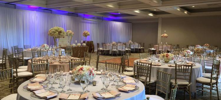 温莎花园贝斯特韦斯特优质套房酒店(Best Western Plus Palm Beach Gardens Hotel  Suites and Conference Ct)图片