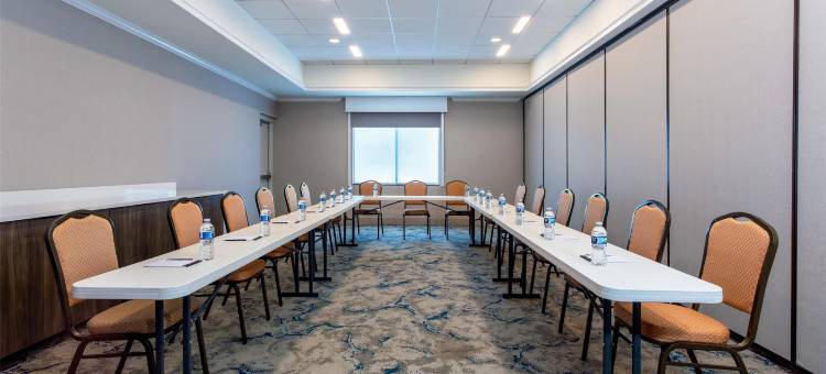 坦帕西北奥尔兹马希尔顿花园酒店(Hilton Garden Inn Tampa Northwest/Oldsmar)图片