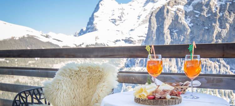 雪绒花高级酒店(Hotel Edelweiss Superior)图片