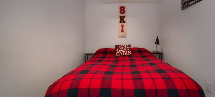 阿佩克斯山/梁柱式木屋 热水浴池 可住10人(Post & Beam Chalet at Apex Mountain/Hot Tub sleeps 10)图片