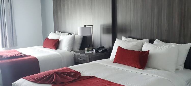 红杉汽车旅馆(Sequoia Inn)图片