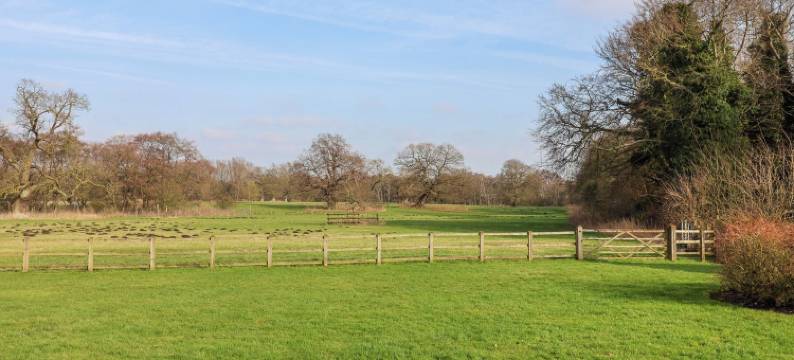 罗穆卢斯(Romulus)图片